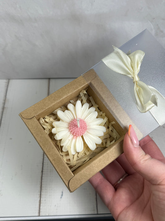 Marguerite bougie