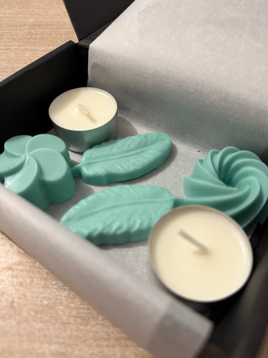 Coffret fondant mojito glace